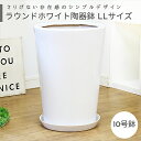 ラウンド陶器鉢 LLサイズ【受け皿付 鉢底ネット付】大型 中型 シンプル おしゃれな植木鉢用 白い鉢 丸型 陶器 穴あり 丸鉢 スタンダー..