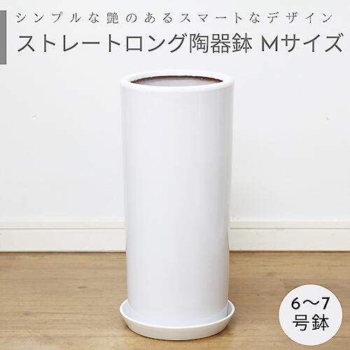 シリンダロング 陶器鉢 Mサイズ【受け皿付き 鉢底ネット付】ストレート 小型 中型 シンプル おしゃれな植木鉢用 白い鉢 丸型 陶器 穴あり 丸鉢 スタンダード鉢 6号鉢 7号鉢 ツヤあり 鉢植え 室内鉢 白鉢 ホワイト 園芸用品 ガーデニング ※同梱不可 観葉植物