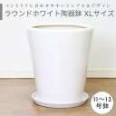ラウンド陶器鉢 XLサイズ【受け皿付き 鉢底ネット付き】大型 中型 シンプル おしゃれな植木鉢 観葉植物用 白い鉢 丸型 陶器 穴あり 丸鉢 スタンダード鉢 1...