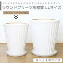 ラウンド プリーツ 陶器鉢 LLサイズ【受け皿付き 鉢底ネット付き】大型 中型 シンプル おしゃれな植木鉢 観葉植物用 白い鉢 縦縞 ストライプ 丸型 陶器 穴...