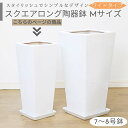 スクエアロング陶器鉢 ワイド Mサイズ【受け皿付き 鉢底ネット付】 中型 大型 鉢 シンプル おしゃれな植木鉢 白い鉢 角型 陶器 穴あり 角鉢 デザイン鉢 8...
