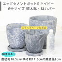 植木鉢 エッグ セメントポット ネイビー 6号鉢 鉢カバー ラウンドS 丸鉢 小型 植木鉢 穴あり 観葉植物用 玉子型 鉢 多肉用 プランター ボックス アンテ...