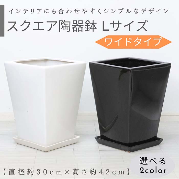 楽天市場】植木鉢 10号 白 スクエアの通販 楽天市場】植木鉢 10号 白 スクエアの通販