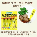 観葉植物用 活力液 リキダス アンプル【植物と一緒にご購入で送料無料】簡単 鉢植えに差すだけ！ hyponex HYPONEX 園芸用品 園芸グッズ 無臭 ポイント消化 HYPONeX ハイポネックス ジャパン 便利 園芸用品 簡易包装