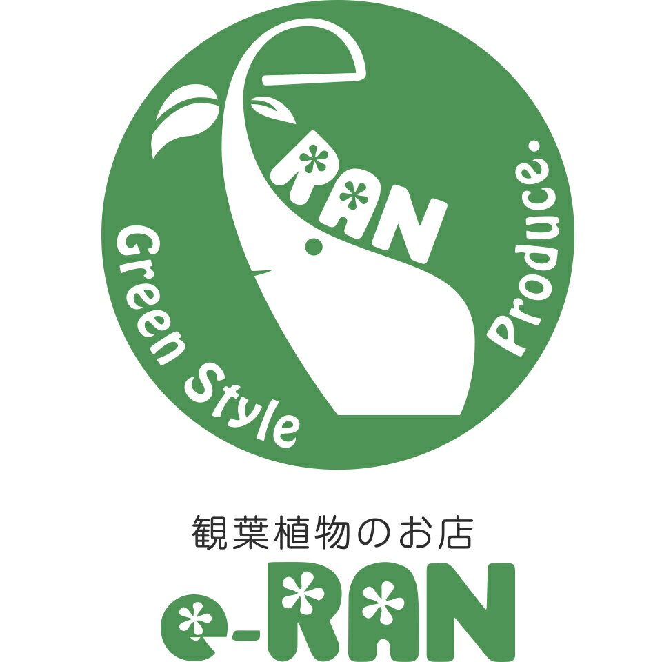 観葉植物の専門店e-RAN