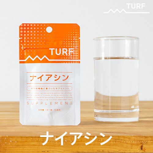 ヒトの体内での吸収量を確認し、最適な配合を実現しました。科学的根拠に基づいたサプリメントターフ サプリメント ナイアシン 3.79g(253mg×15粒) 送料無料 ワンコイン 栄養検査 無料 プレゼント ゆうパケット ホエイタンパク ニコチン酸アミド ゼラチン 酸化チタン サプリメント