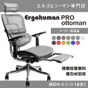 【新仕様！完成品】エルゴヒューマン プロ オットマン内蔵型（ラチェット式オットマン高さ調節タイプ）【ヤマト家財便でお届け送料無料！】【開梱・搬入・設置無料です。】高機能メッシュオフィスチェア/EGP