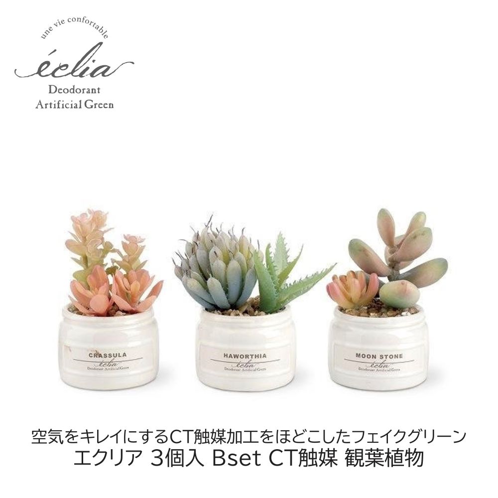 Rakuten - フェイクグリーン 3個入 Bset エクリア CT触媒 観葉植物 吊って楽しむ 消臭 アーティフィシャルグリーン おしゃれ ギフト プレゼント
