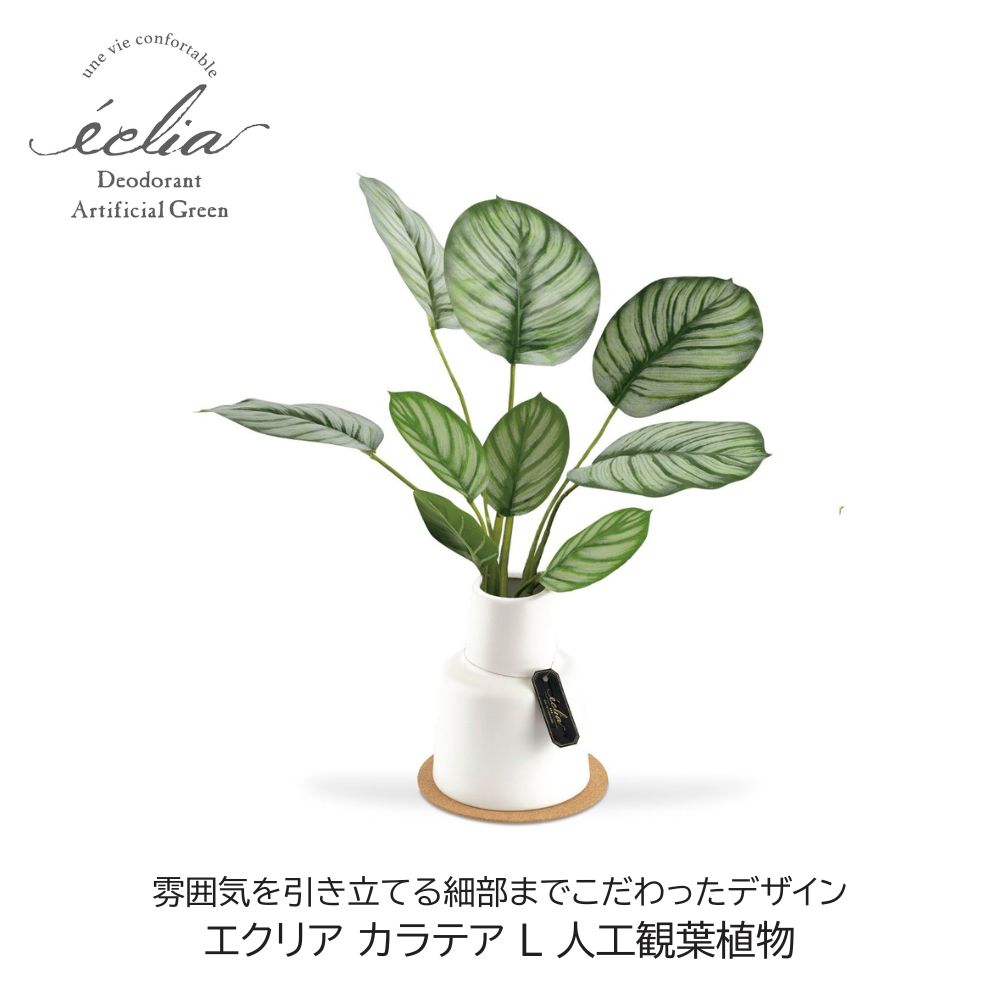 Rakuten - フェイクグリーン カラテア L 人工観葉植物 エクリア 吊って楽しむ 消臭 アーティフィシャルグリーン おしゃれ ギフト プレゼント
