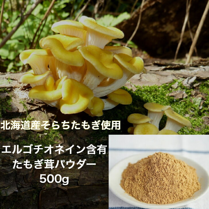 北海道産 たもぎ茸 100% 石突パウダー 500g エルゴチオネイン ベータグルカン タモギ茸 粉末 タモギタケ タモギダケ 健康 温活農園