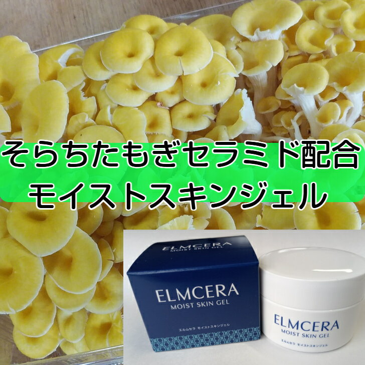 エルムセラ モイストスキンジェル(そらちたもぎセラミド配合)