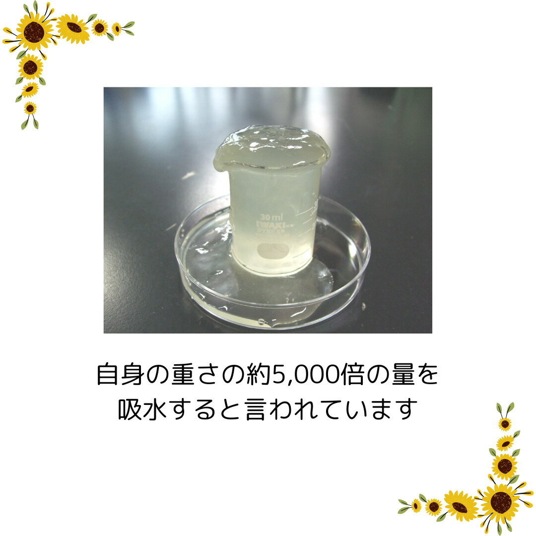 �ڥ���ץ�����ۥ��ԥܥ��˥����⥤�����㡼���꡼��2g��2�ʥ᡼���ؤ��Ϥ�����10�������