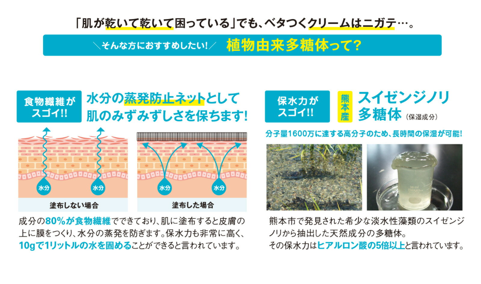 【サンプル販売】おひさまでつくった保湿ジェルE 3g×2（メール便お届け日数10日前後）