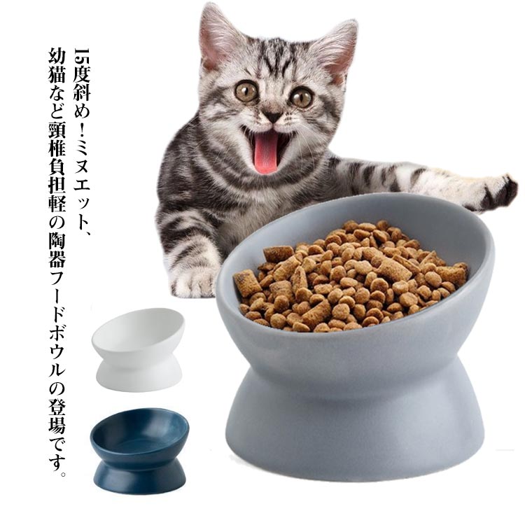 ミヌエット 猫 食器 フードボウル 傾斜 猫用 ねこ エサ入れ 浅 子猫 幼猫 キャットフード ご飯 皿 餌皿 ペット用食器 小型犬 陶器 15度傾斜