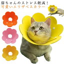 ペット エリザベスカラー ソフト フェルト エリザベスカラー 猫 カラー 軽量 犬 S 術後の必需品 傷の保護 傷舐め ストレス軽減 手術後のケア 猫用 M L 引っ掻き防止 フェルト 可愛い 足舐め 防止 快適 無地 シンプル S M 簡単装着