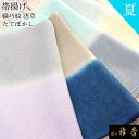 衿秀 公式 帯揚 帯揚げ おびあげ 夏 絽 織巧紋 唐草 たてぼかし カラー 日本製 和装小物 和小物 えりひで 襟の衿秀