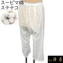 衿秀 公式 ステテコ すててこ スーピマ 綿 肌着 和装 日本製 和装小物 和小物 えりひで 襟の衿秀 tb