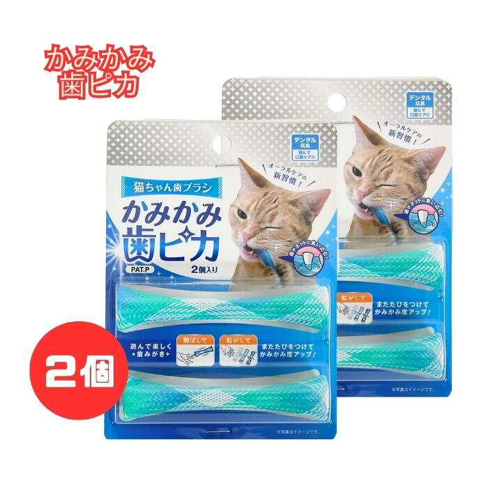 ��2���åȡۥ���ƥ����ޥ� �ɥ����ޥ� ǭ�������֥饷 ���ߤ��߻��ԥ�(2����) 2���˰��ٸ򴹿侩