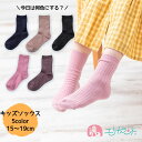 靴下 ソックス リブ クルー丈 15cm 16cm 17cm 18cm 19cm 子供 幼児 キッズ 男の子 女の子 年間 年中素材 オールシーズン 春 夏 秋...