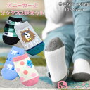 【ワンコイン】靴下 2足セット 子ども ベビー キッズ 13〜16cm 15〜20cm 19〜24cm スニーカー丈 保育園 幼稚園 園児 幼児 小学校 低学年...