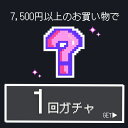 多肉植物 7500円以上ご注文の方限定!