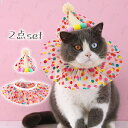 ペット用 誕生日 (d1#) 首輪 ハット 2点セット 日本国内当日発送 犬 猫 グッズ 帽子 ハッピーバースデー 猫首輪 スタイ お祝い 写真 撮影 ペットグ...