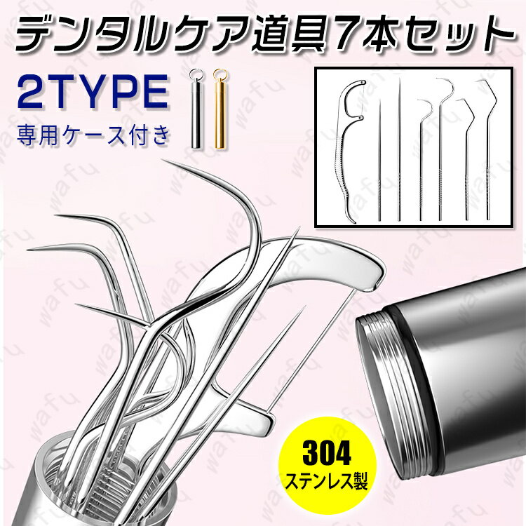 br107#歯石取り 歯用ツール 7本セット 日本国内当日発送 爪楊枝 ステンレス製 デンタルフロス 果物ピック 牙齿保健 歯石削り ヤニ 歯垢 口臭 予防 スケーラー 抗菌 携帯用 口内ケア ミニ 器具