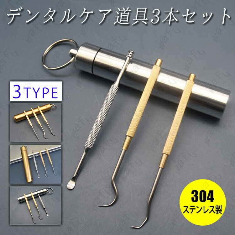 br108#口腔ケアツール 日本国内当日発送 ミニ 歯石取り器具 3本セット 歯石削り スケーラー 口臭予防 ステンレス 爪楊枝 果物ピック 耳かき つまようじ...