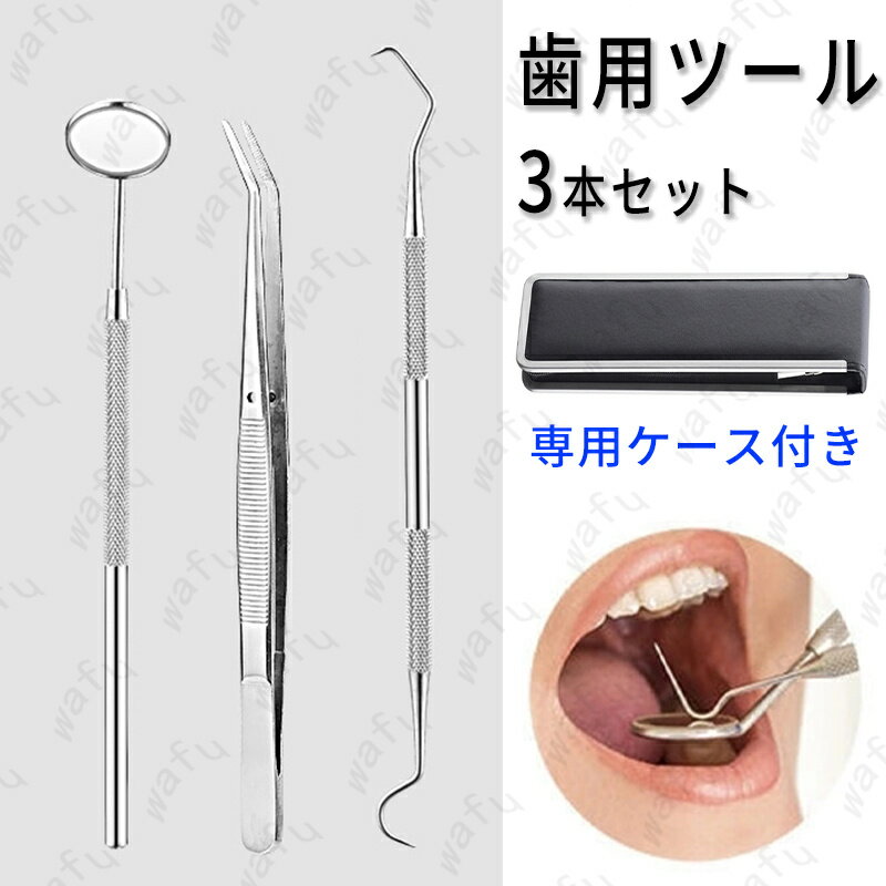 br59#304デンタルケア 3点セット 歯石取り器具 専用収納ケース 歯用ツール ステンレス製 歯石除去 口臭予防 ヤニ取り しこう取り 送料無料 プレゼント...