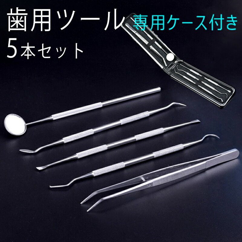 br60#5本セット 歯科口腔清掃キット デンタルケア ヤニ 口臭予防 専用ケース付き 歯石 歯の清掃ツール プラーク 茶汚れ 送料無料 男女兼用 プレゼント ...