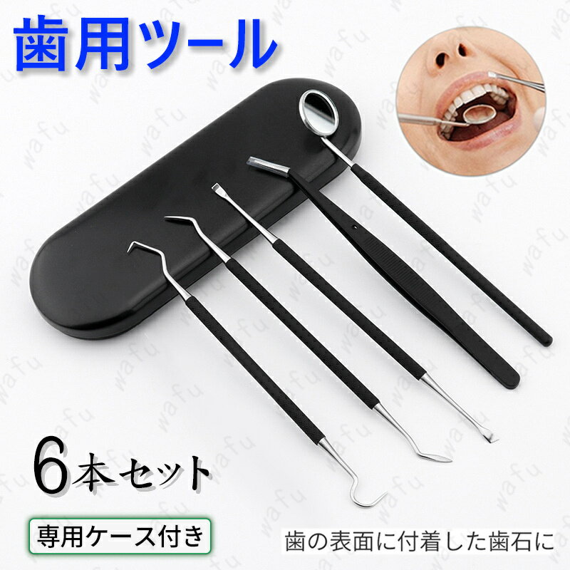 br14# 歯石取り器具 5本セット ステンレス製 自宅用 デンタルツール 歯間 ヤニ 歯垢取り 口臭予防 口臭 デンタルケア セルルケア しこう取り 歯石取り...