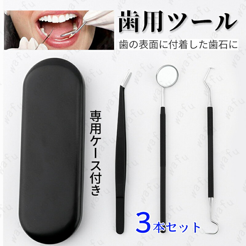 br16#3本セットケース付き 歯石取り器具 自宅用 デンタルツール ステンレス製 歯間 ヤニ 歯垢取り 口臭予防 歯石取り スケーラー 歯石取り スケーラー