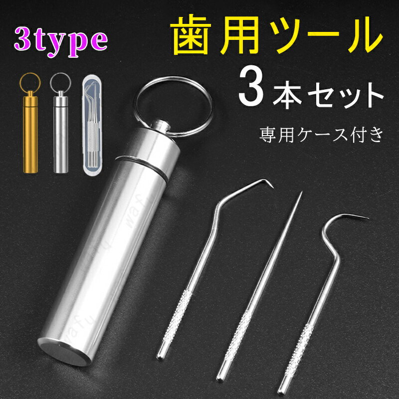 br45# 3本セットケース付き ミニ 歯石取り器具 2type 歯用ツール 自宅用 デンタルツール ステンレス製 ヤニ 歯垢取り 口臭予防 歯石取り