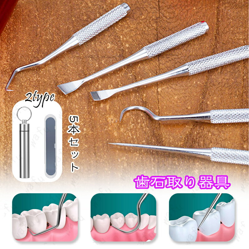 br46#歯石取り器具 日本国内当日発送 ミニ デンタルケア 5本セット ケース付き 2type 歯用ツール デンタルツール ステンレス製 ヤニ 歯垢取り 口臭...