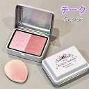 チーク (CS233#) 日本国内当日発送 2color set 5type チークパレット 韓国コスメ フェイスカラー マット 落ちにくい 化粧品 チークカラー ほお紅 メイクアップ