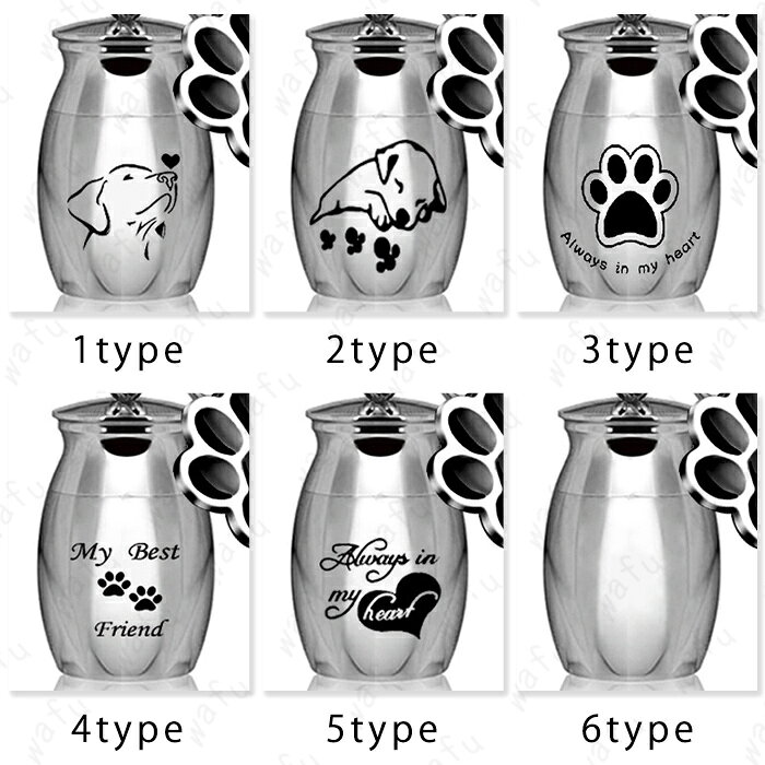 ��������ۥ���� (gh52) ���ܹ�������ȯ�� 6type ���ꥢ�� �긵���� ��� ���������꡼ ���� ʬ�� Ǽ�� ʩ�� ������ץ��� ������� ���ƥ�쥹 �ڥ�����