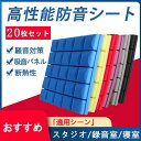 防音シート 貼り付け DIY 壁貼る 軟質 難燃性 高密度 緩衝材 50cm*50cm 5/10/20/30/40枚セット 吸音材 防音材 遮音シート 天井 壁...