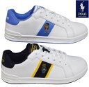 | t[ POLO RALPH LAUREN HERITAGE COURT BEAR |xA Xj[J[ [Jbg R[gV[Y uhXj[J[  t@bVXj[J[ ₷ zCg 23.5 24.0 24.5 25.0cm