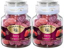 【2個セット】カベンディッシュ&ハーベイ ミックスベリーキャンディージャー 300g