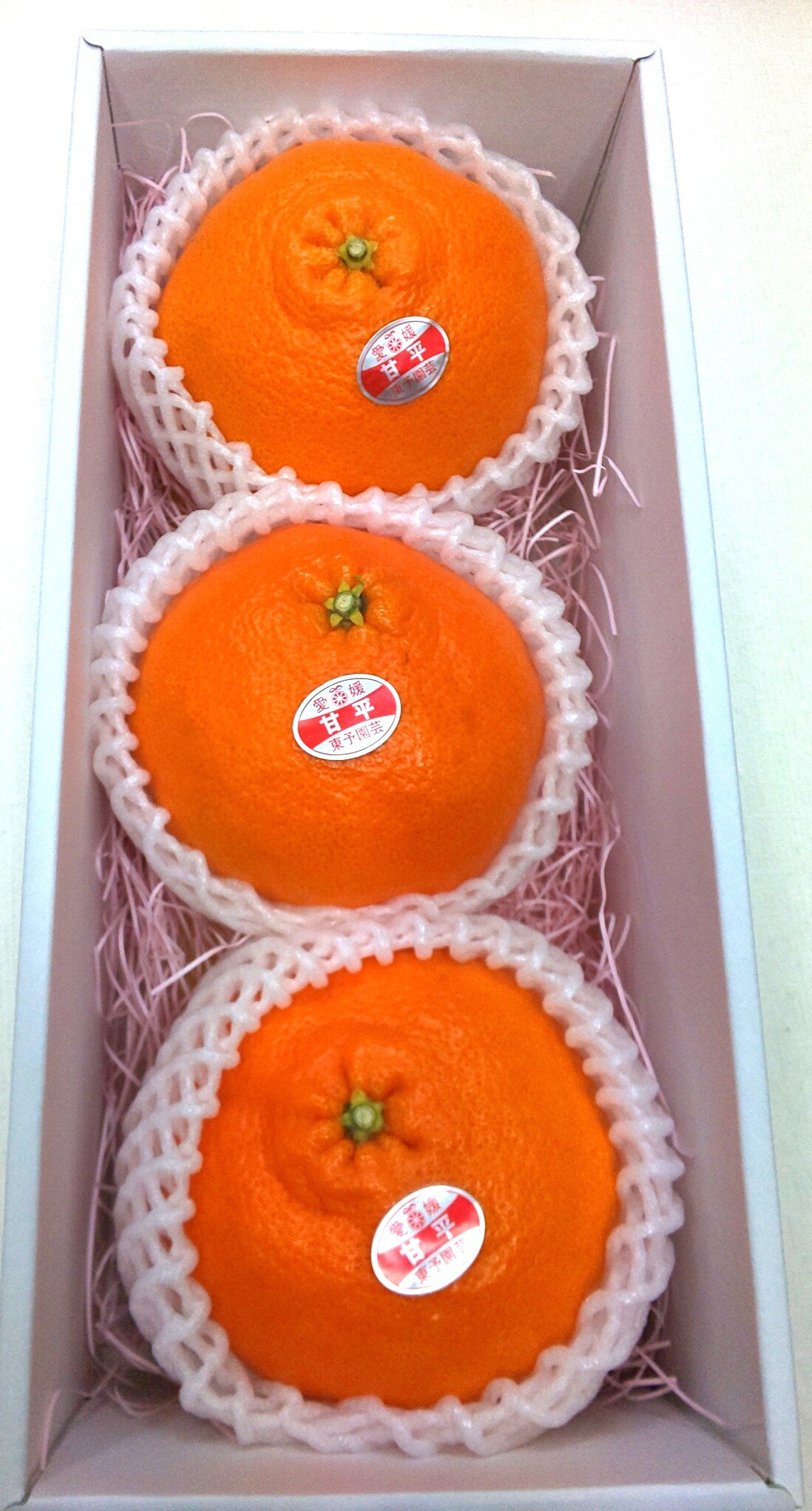 ��ɲ���� ��ʿ 4L������ 3������ �͵� �ե롼�� �ߤ��� ��ʪ £��ʪ �� ������ ���ե� ���� �Ť� £���� �ץ쥼��� £��ʪ