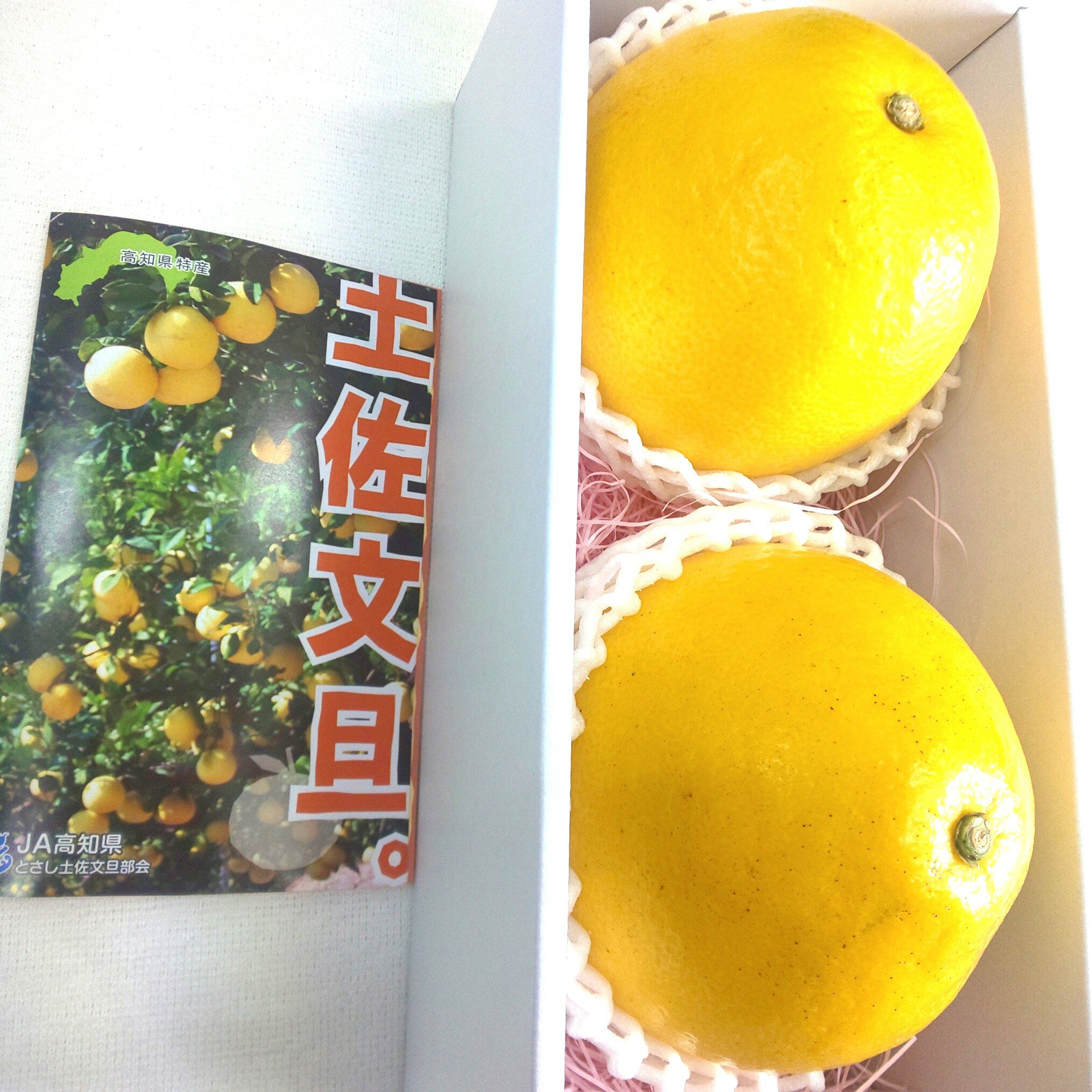 ���θ��� �ں�ʸö 4L������ 2�� �ե롼�� £���� ������ ��ʪ �� �͵� ���� ���ե� £��ʪ ʸö �ץ쥼���