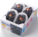 岡山県産 NEWピオーネ ぶどう フルーツ ギフト 贈り物 旬 プレゼント 種なし お中元 お供え 自宅用