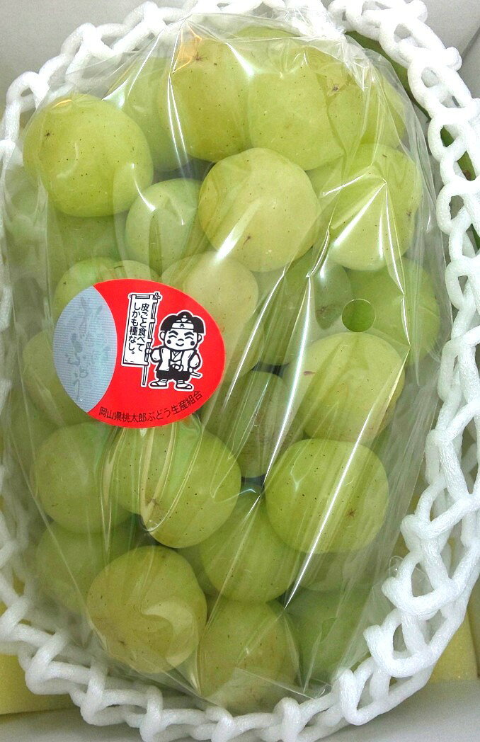 1房約800gの大きなぶどうです！種がなく果実粒が大きく、果肉はシャキッとした独特の歯ざわり・舌ざわりで粒形が桃にそっくりなため、桃太郎ぶどうと名付けられました。