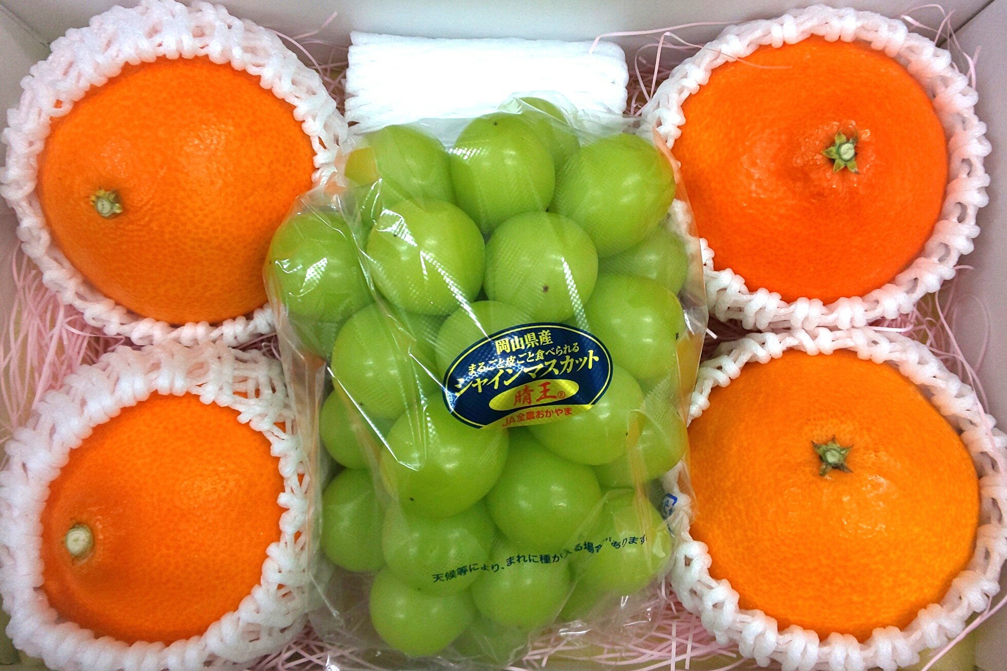 フルーツ詰め合わせ 紅まどんな4L4個入り シャインマスカット晴王1房 甘い 果物 冬 ギフト フルーツ お歳暮 贈答用 プレゼント 自宅用 旬 柑橘類 ぶどう 贈り物 種なし 甘い 贈り物