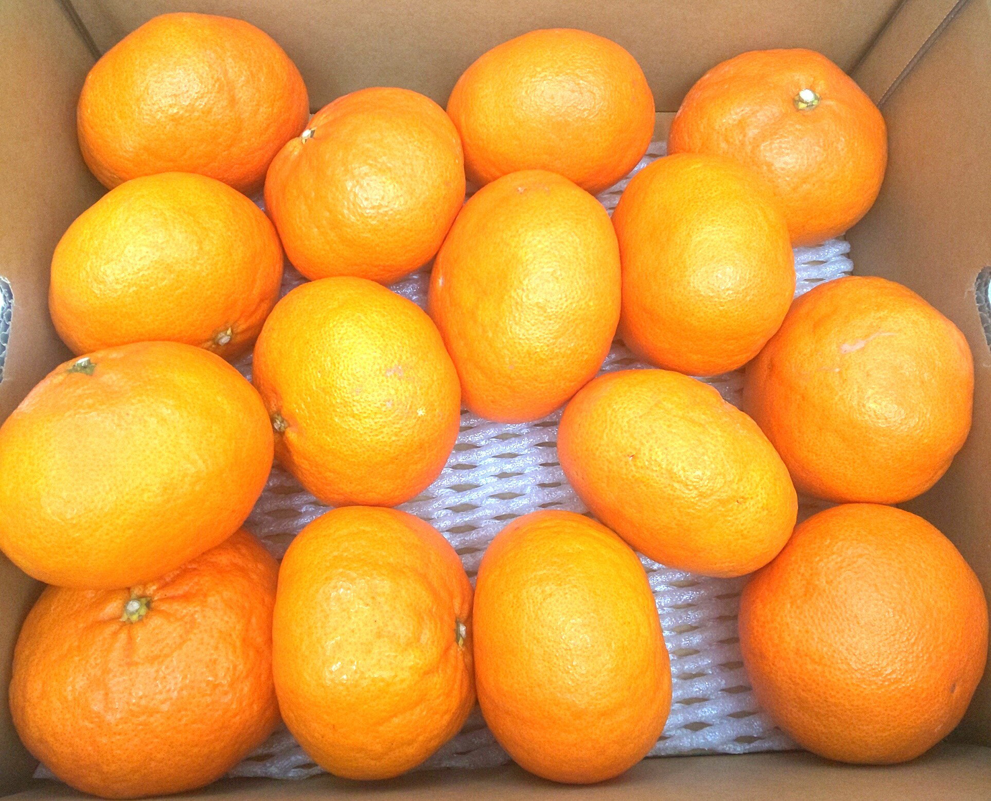 愛媛県産甘平みかん4L5kg 果物 贈答用 フルーツ 甘い みかん 柑橘 プレゼント ギフト 贈り物 旬 人気 自宅用