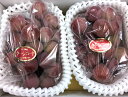 岡山県産クイーンニーナ2房 フルーツ 種なし ギフト 贈り物 お中元 甘い 果物 プレゼント 贈答用 お供え 自宅用 旬 ぶどう 人気 濃厚