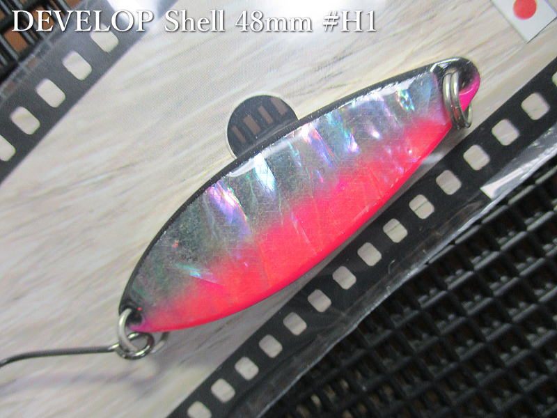 デベロップ シェル [Hシリーズ] 10g /48mm #H1 G.ブラック/ピンク ＜フィールドハンター FIELD HUNTER＞ □ネイティブ ルアーフィッシング用□ DEVELOP Shell H-series Spoon 10g [スプーン専門釣り具店] -エスプーン-
