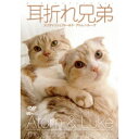 耳折れ兄弟 スコティッシュフォールド・アトム&ルーク 【DVD】