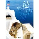 地中海・猫の旅6500キロ CATS OF THE MEDITERRANEAN SEA 【DVD】