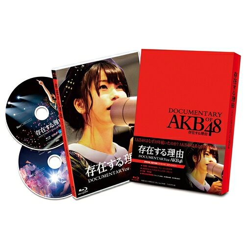 AKB48／存在する理由 DOCUMENTARY of AKB48 スペシャル・エディション 【DVD】